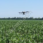 Авиация для борьбы с гусеницей лугового мотылька и совкой