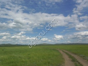 Земля сельхозназначения
