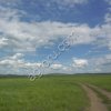 Земля сельхозназначения