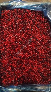 Брусника замороженная