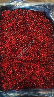 Брусника замороженная