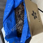 Какао тертое