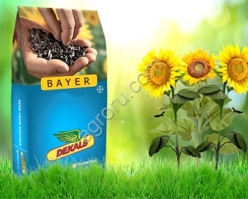 Гибриды семена подсолнечника ДРАКАРИС СЛП (Байер, Bayer) (Clearfield Plus) (Евролайтнинг)