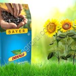 Гибриды семена подсолнечника ДРАКАРИС СЛП (Байер, Bayer) (Clearfield Plus) (Евролайтнинг)