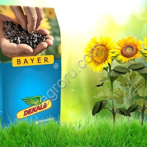 Гибриды семена подсолнечника ДРАКАРИС СЛП (Байер, Bayer) (Clearfield Plus) (Евролайтнинг)
