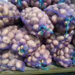 Картофель продовольственный