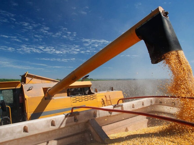 Проблемы экспорта и перспективы - Краткий обзор рынка зерна