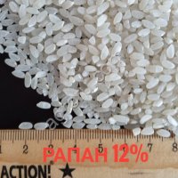 Рис Осман, Бальдо, Рапан