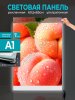 Световой короб для рекламы формат А1, А2, А3, А4