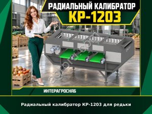 Радиальный калибратор КР-1203 для редьки