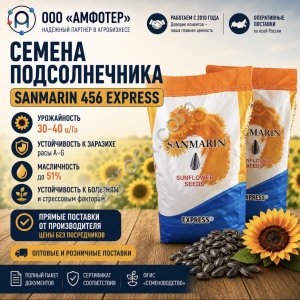 Семена подсолнечника