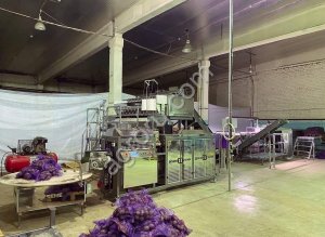 Высокоточная и высокоскоростная линия фасовки и упаковки овощей в сетку