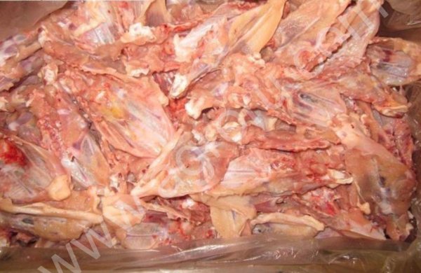 Грудная кость