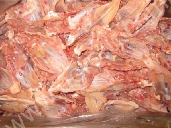 Грудная кость