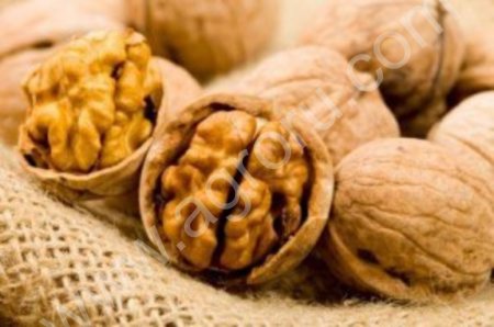 Грецкие орехи оптом.