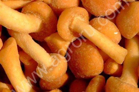 Замороженные опята