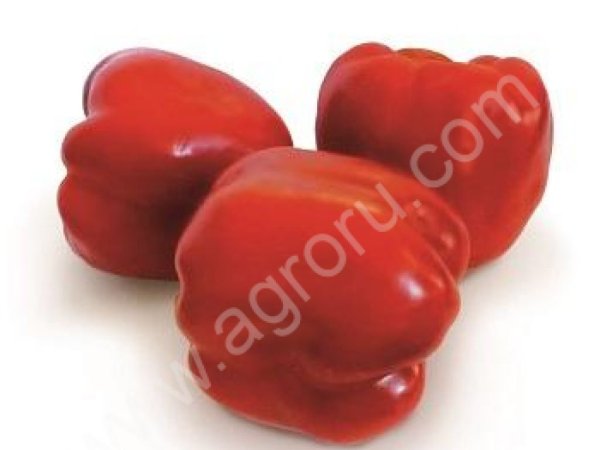 Семена сладкого перца KS 04 F1 фирмы КИТАНО