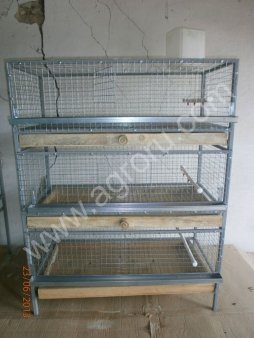 Ярусные клетки для цыплят