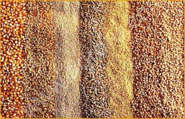 зерно большими объемами!