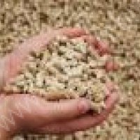 Шрот подсолнечный протеин 39%-41%