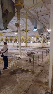 Комплекс по разведению птицы