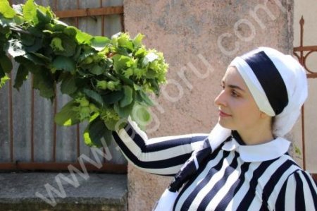 Двухлетние саженцы фундука Трапезунд