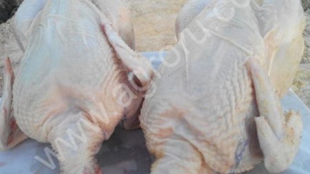 Мясо бройлера фермерского