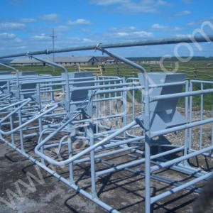 Универсальные доильные станции УДС-3Б и станки на 2 и 4 скотоместа
