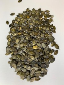 Семечка тыквы Штирийской голосемянной