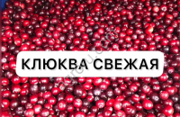 Клюква свежая оптом