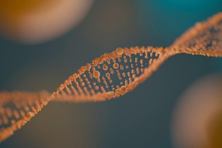 Геном пшеницы: почему он сложнее человеческого и что это дает аграрному рынку