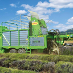 Комбайн для сбора лаванды и ароматических трав Bonino