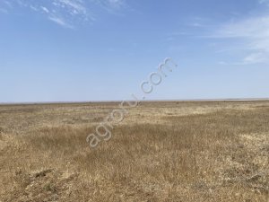 Земля, недвижимость, агротуризм