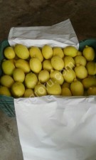 Лимоны