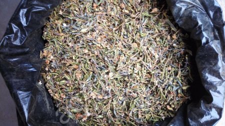 Cагаан Дали