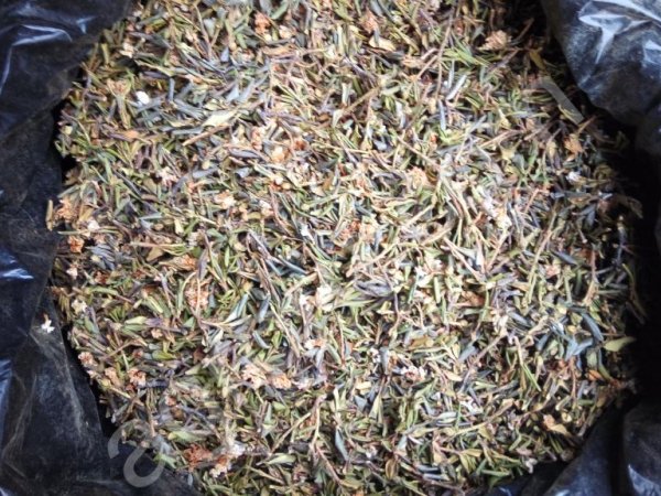 Cагаан Дали