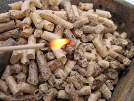 Топливные пеллеты гранула