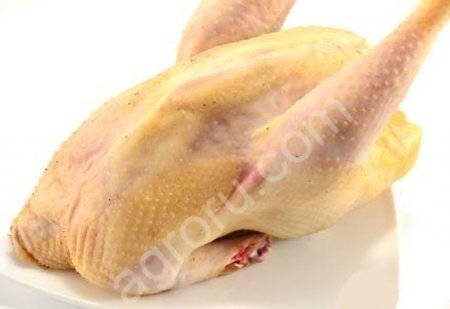 мясо бройлерных цыплят , кур, гусей и уток