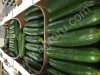 Огурцы тепличные сорт МЕВА и СВЯТОГОР