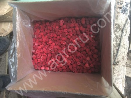 Малина целая 90/10