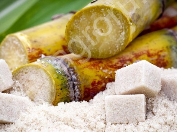 Сахар тростниковый