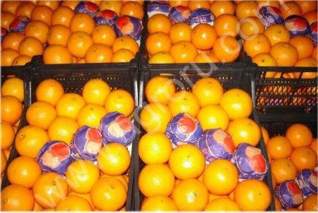 Фрукты оптом