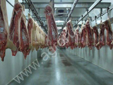 Оказываем услуги по забою свинины