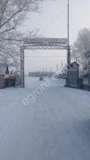 Хлебоприемное предприятие