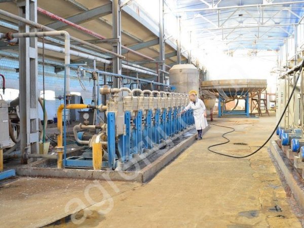 крахмал кукурузный