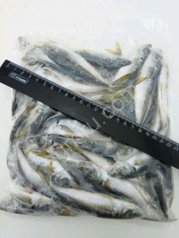 Черноморская рыба и морепродукты оптом