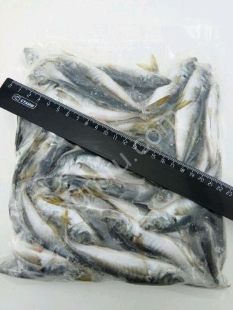 Черноморская рыба и морепродукты оптом