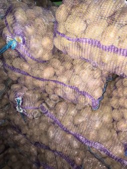 картофель  оптом