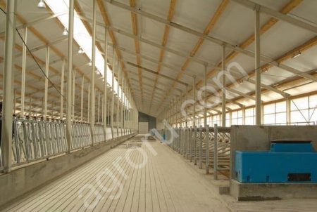 Коровник 200