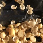 Машина для колки гороха